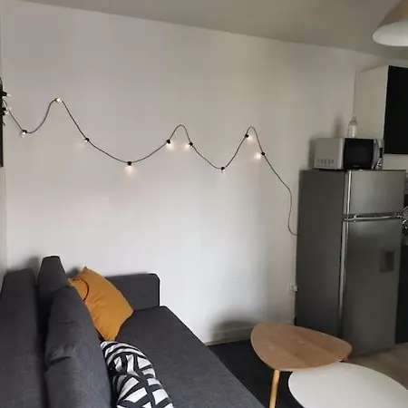 Bel Appart 2/4 Pers Centre-ville Avec Garage Prive *